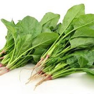 5 ounces of heat-resistant spinach seeds