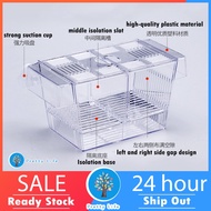 🐟READY STOCK🐟 Aquarium Fish Isolation Acrylic Box Breeder Isolation