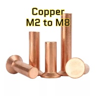 Copper countersunk head rivets GB869 percussion type flat head flat cone head solid rivets Copper d 