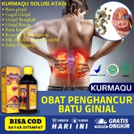 Paling Laris Obat Alami Penghancur Batu Ginjal Gagal Bengkak Bocor Batu Empedu Kronis Ringan Kencing