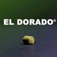 ฮอป ทำเบียร์ El Dorado Hops | คราฟท์ คอมโพเนนท์