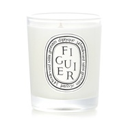 Diptyque 芳香蠟燭 無花果(無花果樹)