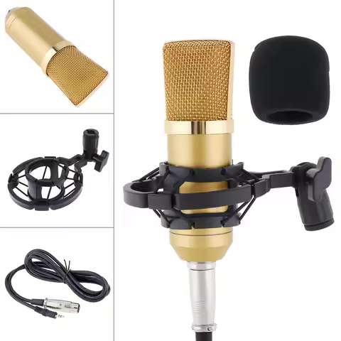 Professional Metal BM-700 Condenser Microphone with Circuit Control and Gold-plated Large Diaphragm