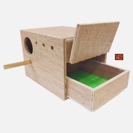 Nestbox Burung Baji Berlaci Kotak Sarang Telur Budgie Lovebirds