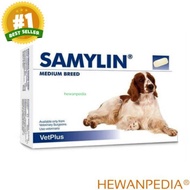 Samylin MEDIUM 1 TABLET VETPLUS Heatanpedia - Antioxidant Liver Amplifier for Dogs Animals Samilin A