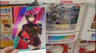 機動戰士 高達 Gundam Seed Freedom 扭蛋 Visual Board 膠版 膠poster 露娜 瑪利亞
Luna Maria