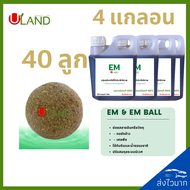 ULAND EM Ball Bio-3 | 40 ลูก Em 4 ลิตร จุลินทรีย์ย่อยสลายอินทรียวัตถุในดิน เศษพืช ตอซังข้าว และน้ำธร