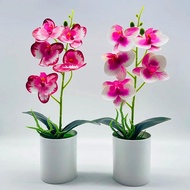 Artificial Butterfly Orchid Flowers Bonsai 5 Heads Beautiful Fake Orchid Plants Potted for Home Decoration Craft Party Supplies