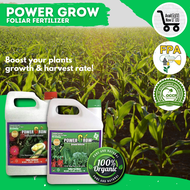 POWER GROW ORGANIC FOLIAR FERTILIZER GREEN &amp; RED GALLON FOR GROWTH BOOSTER &amp; FRUIT FLOWER ENHANCER PERFECT COMBINATION FROM VEGETATIVE TO REPRODUCTIVE STAGE COMPLETE WITH MACRO &amp; MICRO NUTRIENTS &amp; HUMIC ACID AS SOIL CONDITIONER, MAGANDANG ANI NGAYONG TAON