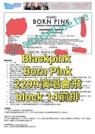 Blackpink Born Pink concert 演唱會門票 演唱會飛 2299