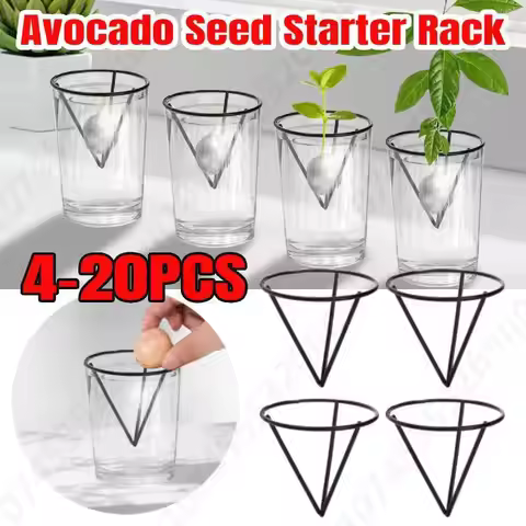 4-20PCS Avocado Growing Triangular Holder Avocado Tree Growing Bracket Plant Growing Support Avocado