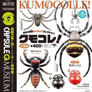 [全5款 日版] 蜘蛛 海洋堂 kumocolle 扭蛋