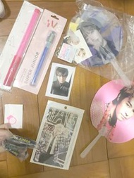 SM 週邊 官方正品 sum 泰妍 東海 希澈 super junior snsd 少女時代 DO EXO sungmin xiumin 手燈 小卡