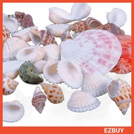[EY] 100g Mixed Shape Seashell Conch Aquarium Mini Landscape Ornament DIY Craft Decor