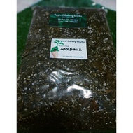 Aroid Mix with Slow Release Fertilizer( Hand Mix)