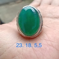 BACAN GULAU LAWAS HIGH QUALITY