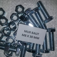 Nut and bolt 8 x 30 Galvanized Bmp m8 x 30/ Bmp m8 x 30/