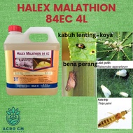 4L HALEX Malathion 84ec (Racun serangga yang berbau) Malathion pekat