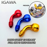 Universal 45 Degree Bent Banjo Bolt Universal 45 Degree Caliper Banjo Bolt