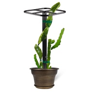 【VVL】-Premium Dragon Fruit Trellis Durables Metal Trellis for Vertical Gardening and Climbing Plants