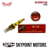 R8 Spark Plug C7HSA for Motorcycle (9855-024)