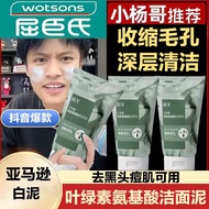 BUV叶绿素氨基酸洗面奶男女士去黑头粉刺深层清洁控油收缩毛孔洁面泥 1支洁面泥*100g