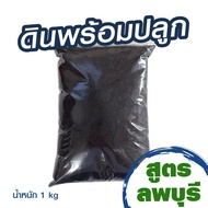 ดินผสมพร้อมปลูก 1 kg ดินผสมสำเร็จ ดิน ดินปลูกต้นไม้ soil