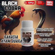 MY - Black Cobra Doping Ayam Aduan Terbaik Asli Original Import pil 20 Kapsul - TERLARIS