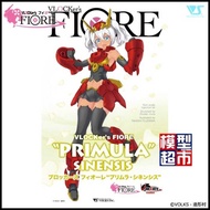 VOLKS FIORE Female Primula Sinensis