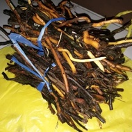 Fresh palm roots 500 grams DN