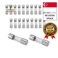 [SG FREE 🚚]20 x 250 V 2A F2AL Quick F link Glass tube fuse 5 mm x 20 mm