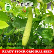 [Seed Three] Benih Timun Armenian / Armenian Cucumber Seeds / 蛇甜瓜种子 5 seeds