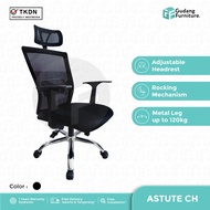 Manager Work Chair Ergonomic Office Chair Insperra Astute CH Hydraulic Mesh Work Chair