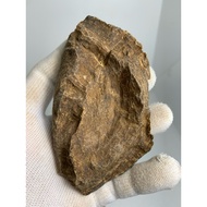 Cambodia Koh Kong Wild Oud Agarwood （piece）