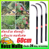 ร้านแนะนำ เคียวเหล็กแมงกานีส มีดหวดหญ้า เคียว เหล็ก แมงกานีส ญี่ปุ่น เคียวเหล็ แมงกานีสแท้ เคียวตัดก