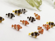 海洋系列 - 小丑魚家族