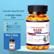 MONLEYTA | Vi khuẩn nước sinh học dạng viên cho bể cá Vi khuẩn phân hủy chất thải Vi khuẩn nitrifica