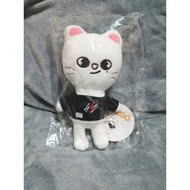 ▬STRAY KIDS : SKZOO Jiniret Original Plush and outfit