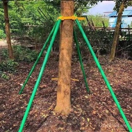 Support Frame Greening Anti-Reverse Support Wholesale Tree Park Tree Frame Steel Pipe Park Reinforce