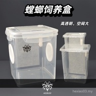 Mantis Breeding Box Climbing Pet Leaf Insect Beetle Breeding Box High Transparent Observation Beetle