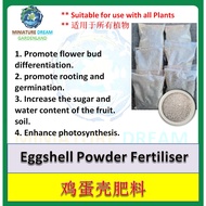 【Ready Stock/现货】Homemade Eggshell Powder Fertiliser / Serbuk Kulit Telur CaCo3 (500g)