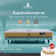 Dunlopillo ที่นอนพ็อกเก็ตสปริง ผสานโฟมชาเขียว+โฟม Carbon ดูดซับกลิ่น รุ่น Dandelion หนา 9.5 นิ้ว แถมหมอนหนุนสุขภาพ ส่งฟรี