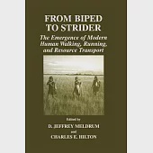 From Biped to Strider: The Emergence of Modern Human Walking, Running, and Resource Transport