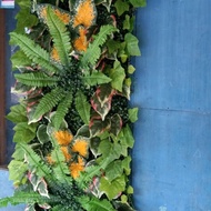 Synthetic Plants - Vertical Garden - Vines - Wall Decor