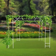 3m*2m*2.3m White Plant Climbing Stand Outdoor Plant Stand Plant Climbing Display Rack Freestanding