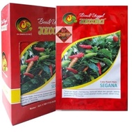 benih bibit cabe rawit hijau segana produk jawara ( SKU CP )