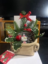 Hello kitty 聖誕 聖誕盆栽 聖誕樹