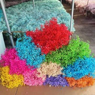 Immortal Gypsophila Big Bouquet Gypsophila Bouquet Immortal Flower Gypsophila Dried Flower Flower Ma