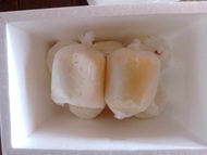 [ส่งด่วนแบบส่งเย็น DHL Fresh / Fuze Post] (Ready to Ship) นมแพะแท้ ๆ สด ๆ จากฟาร์ม นมแพะดิบ นมแพะแช่