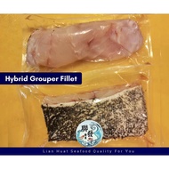 [Lian Huat Seafood] Hybrid Grouper Fillet 300g to 400g